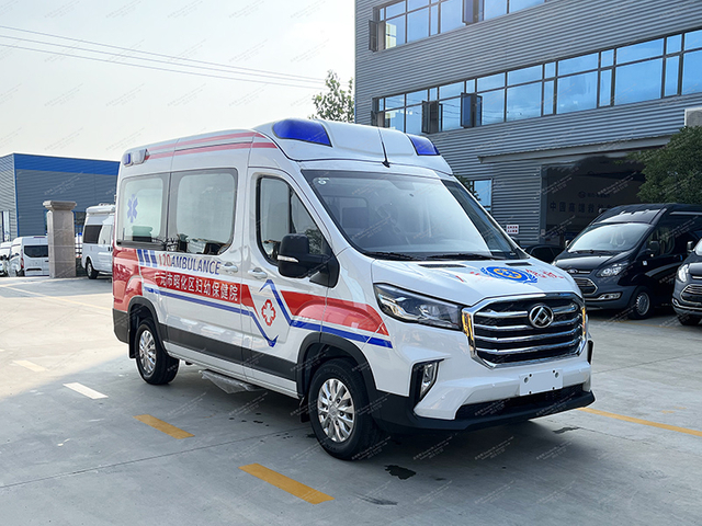 Type de surveillance Datong V90