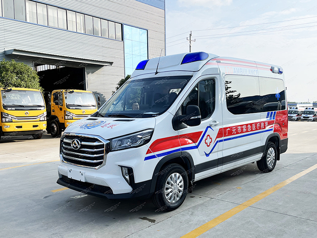 Type de surveillance Datong V90